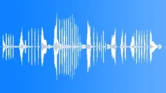Long Cartoon LaughSound Effect