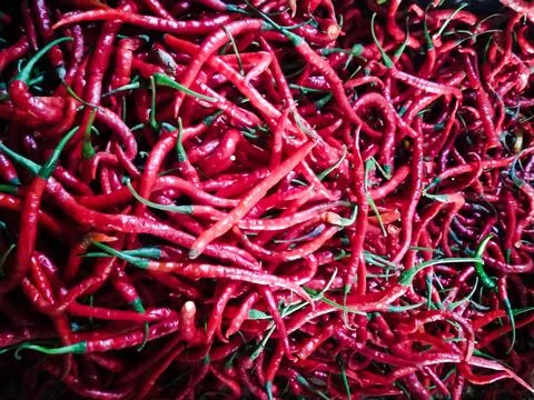 Long Chili Fotos Stock