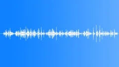 Long Clinking With Door KeysSound Effect