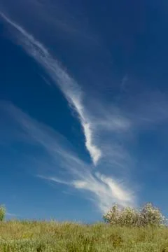 Long cloud in bright blue sky over a small glade summer landscape Stock Photos