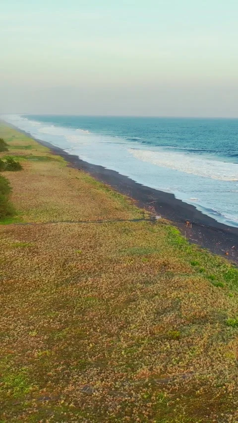 Long coastal beach with waves and vegetation Stock Footage 335432659