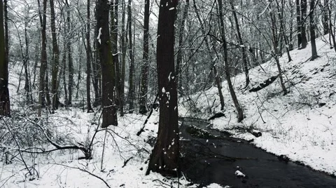 Long cold river in the middle of snowy forest Stock-Footage 61544107