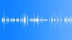 Long Computer Keyboard TypingSound Effect