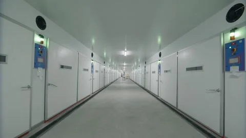 A Long Corridor Featuring White Walls and Softly Glowing Green Lights Stock Footage 294102354