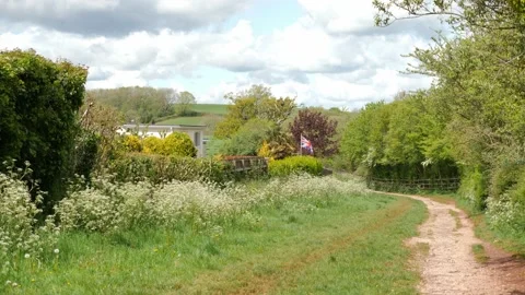 Long Country path in Marldon, Devon Video stock 154854029
