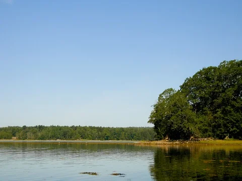 Long Cove in Searsport Maine Stock Footage
