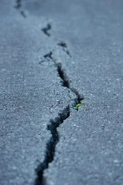 Long Crack in the Road Stock Photos