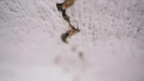 Long crack in the white ceiling of an old rural house close-up. The camera moves Stock Footage 209412990