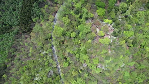 Long curve road on the mountain Video stock 253459549