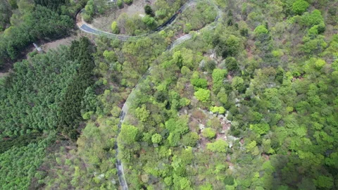 Long curve road on the mountain Stock Footage 253461695