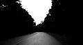 Long curving road. Spooky. HD Footage