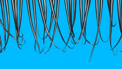 Long dark hair, thin density.Solid blue background .3d animation. Stock Footage 90642607