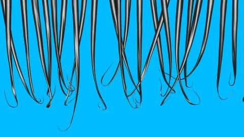 Long dark hair, thin density.Solid blue background. 3d render Illustrazione stock