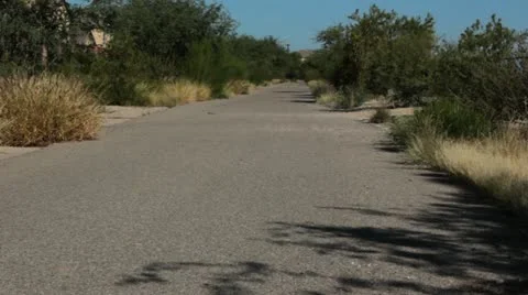 Long Desert Path Vídeo Stock 12203432