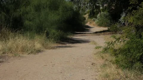 Long Dirt Path Surrounded by Gently Blowing Trees Shrubs Sandy Vidéo 12203594