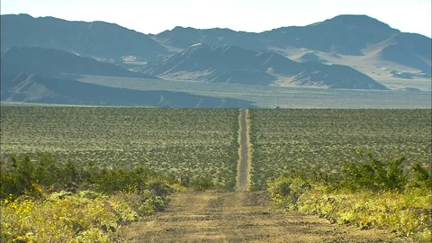 Long dirt road through Death Valley Stock Footage 87928433