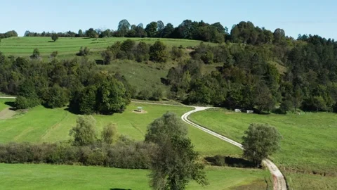 A long dirt road winds through vibrant green fields, lined with scattered trees. Stock Footage 287114485