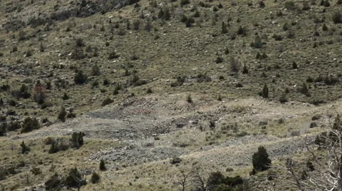 Long distance shot of explosion in training exercise; sound follows visual. Stock Footage 52702572