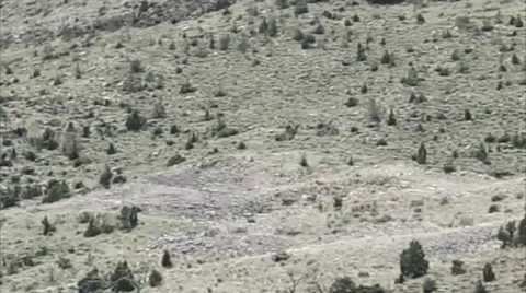 Long distance shot of explosion in training exercise; no sound. Stock Footage 52702589