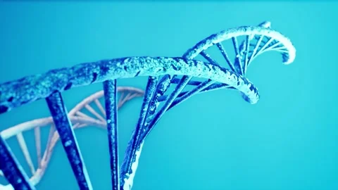 Long DNA strand spinning down left side of screen Video stock 155220477