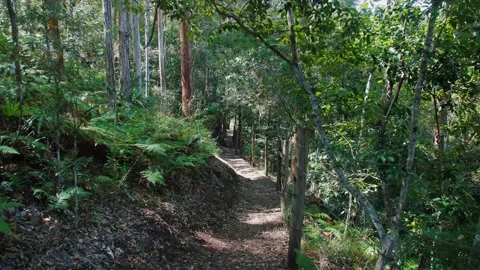 Long Downward Walking Path Hiking Trail Sunshine Coast Forest Park Stock Footage 152682134