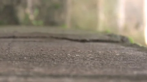 A long drill bit is included in the concrete vertically, drilling hammer Stock Footage 80929350