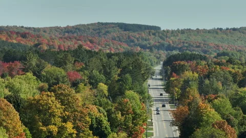 Long Drone Shot of Highway Through Forest in Autumn Stock Footage 241940254