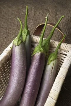 Long eggplants in a basket. Stock Photos