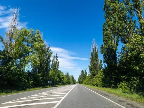 A long empty road in the middle of a forested area Stock Photos