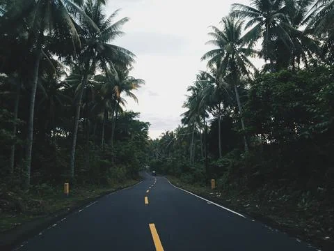 A long empty road Stock Photos