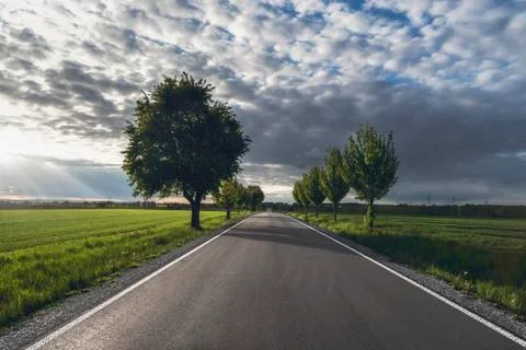 Long empty road through green meadows and trees Stock Photos