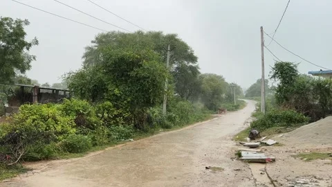 Long Empty Road with Trees and Rainfall | Rainy Season Sky and Nature Scenery Видео 315267062