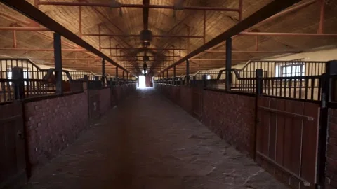 Long, empty stable aisle. Horse stall made of red brick, while the upper se.. Stock Footage 306247175