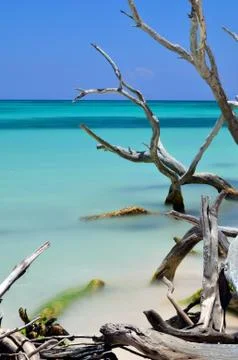 Long exposure in the beach Stock Photos