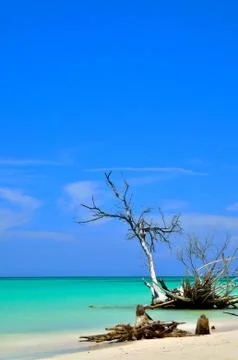 Long exposure in the beach Stock Photos
