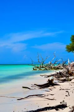 Long exposure in the beach Stock Photos