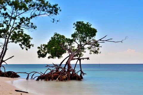 Long exposure in the beach Stock Photos