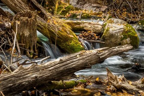 Long Exposure Close Up of River With Moss Covered Logs and Autumn Leaves Foto stock