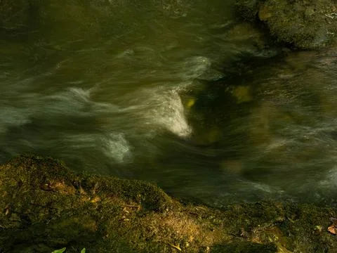 Long Exposure of a Flowing Forest Stream with Mossy Rocks Stock Photos