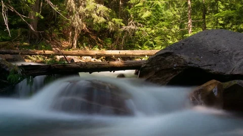 Long Exposure Hyperlapse of a Creek in the Forest Stock Footage 121985220