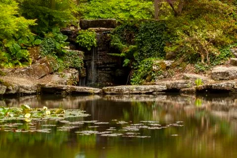 A long exposure image from a decorated backyard pond with water lilies and a Stock Photos