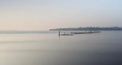 Long exposure of Line of coconut tree pillars in the lake Stock Photos