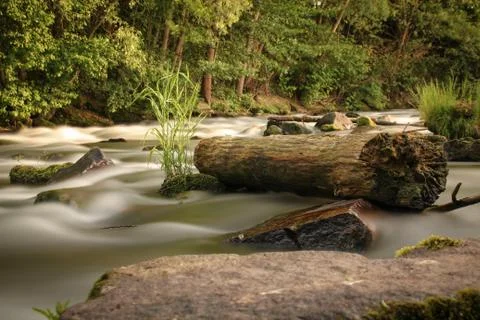 Long exposure of a log in a river Stock Photos