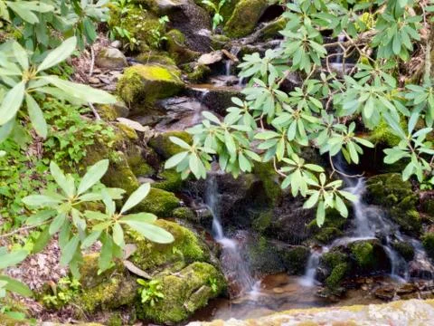Long exposure of a mountain waterfall Stock-Fotos