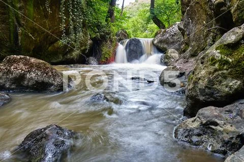 forest river in spring. water flows among the mossy rocks