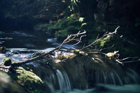 Long exposure of a river creek with a small waterfall. Sunset and strong detail Stock Photos