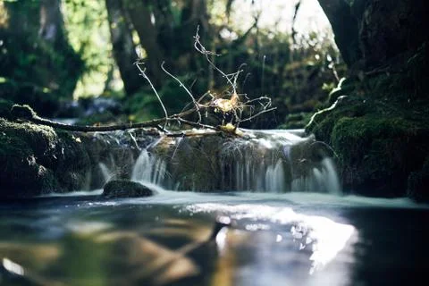 Long exposure of a river creek with a small waterfall. Sunset and strong detail Stock-Fotos