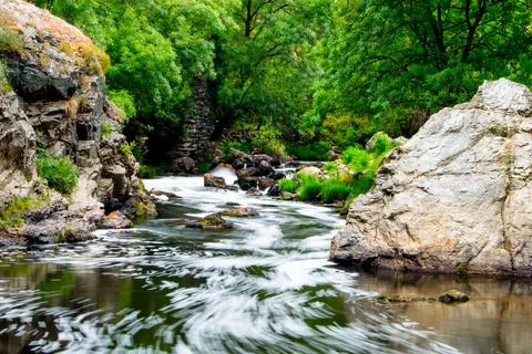 Long exposure of river in the forest Stock Photos