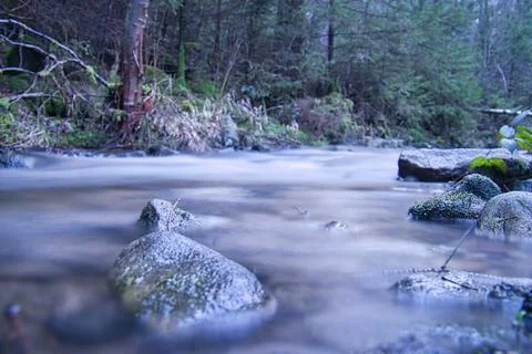Long exposure shot of a river, stone in the foreground. Forest in the backg.. Stock Photos