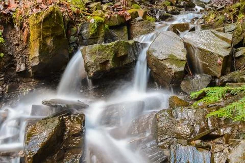 Long exposure of a small water course in Transylvania forests, Romania Stock Photos